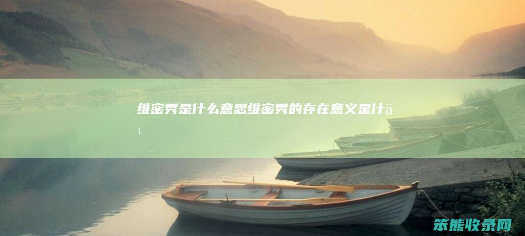 维密秀是什么意思（维密秀的存在意义是什么）