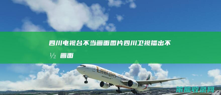 四川电视台不当画面图片四川卫视播出不当画面