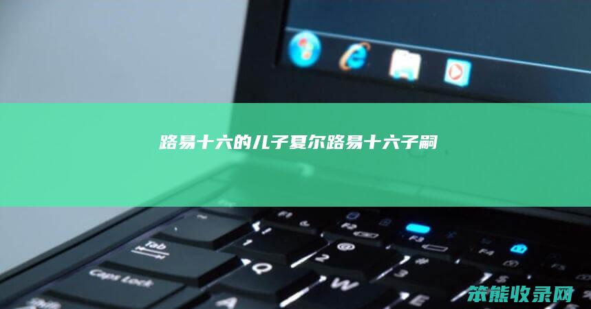 路易十六的儿子夏尔路易十六子嗣