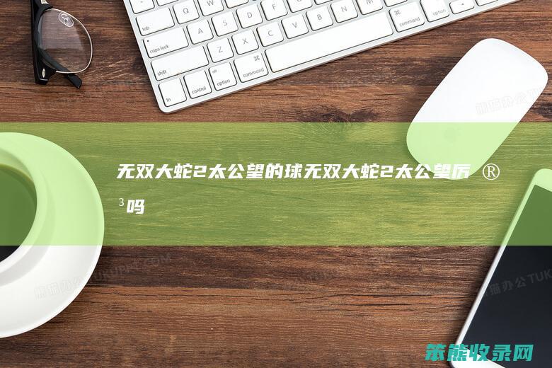 无双大蛇2太公望的球无双大蛇2太公望吗