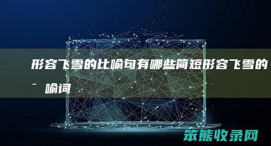 形容飞雪的比喻句有哪些简短（形容飞雪的比喻词有哪些）