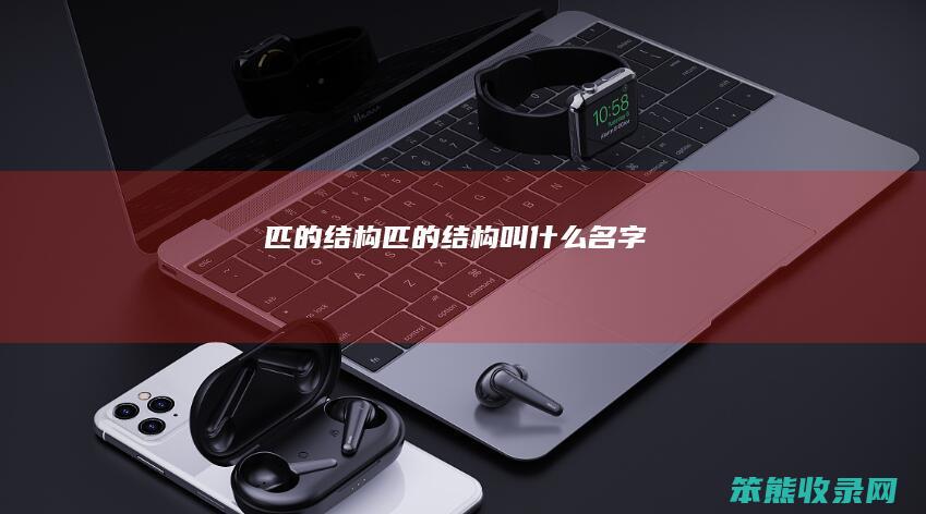 匹的结构匹的结构叫名字