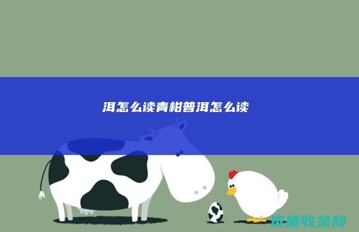 洱读青柑普洱读