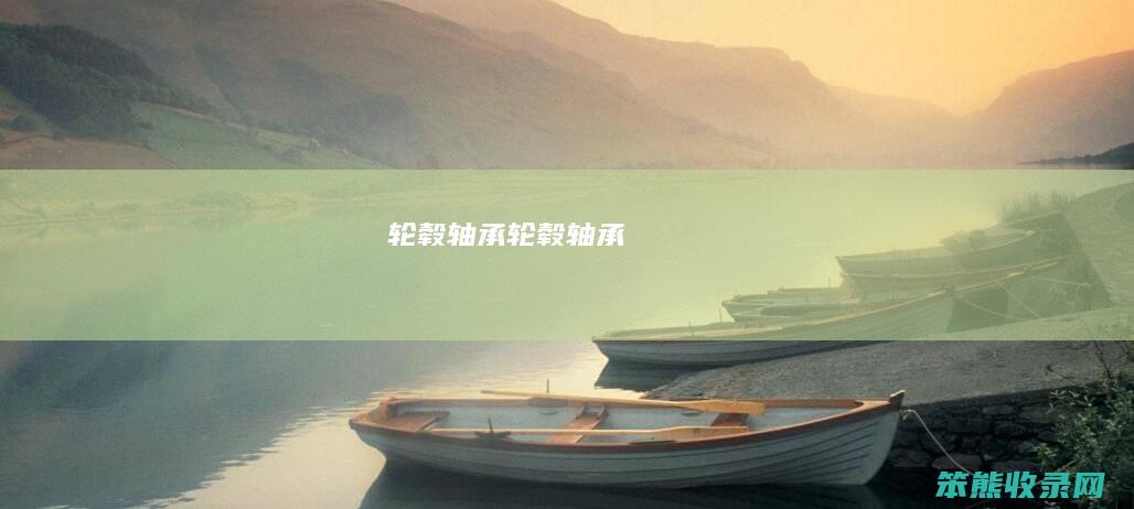 轮毂轴承（轮毂轴承）