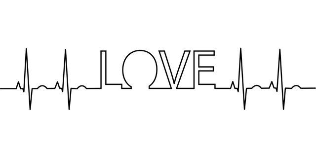 打字背单词