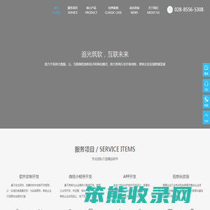 软件开发公司