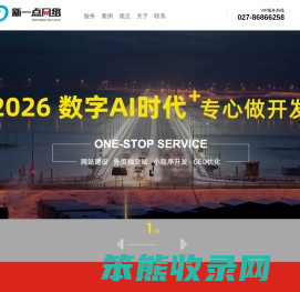 武汉做网站