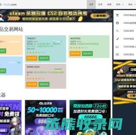 CS2饰品
