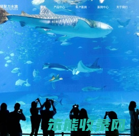 凝聚力水族