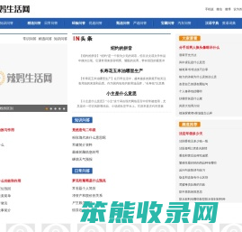 辣妈范文