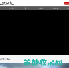 WEG电机