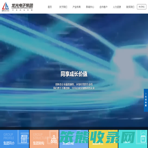龙光电子集团有限公司