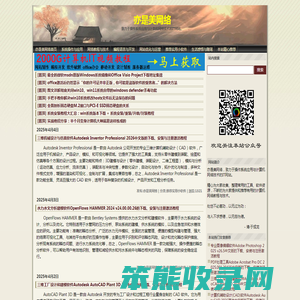 亦是美网络