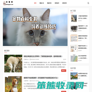 宠猫网