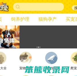 小可爱宠物网