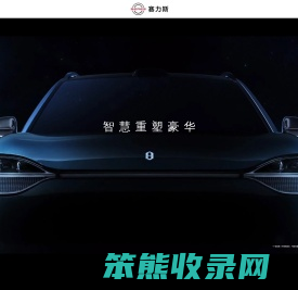 赛力斯集团股份有限公司