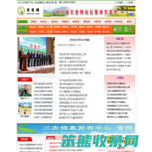 农民网
