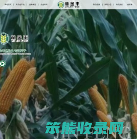 黑龙江金丰达种业有限公司