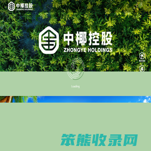 中椰集团