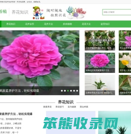 知花网