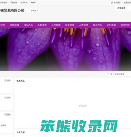 天津市塞威特钢贸易有限公司