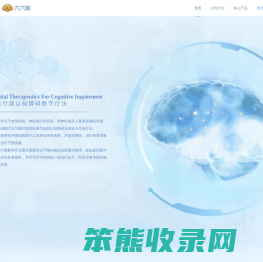 浙江脑动极光医疗科技有限公司