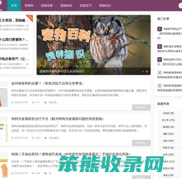 宠物大全
