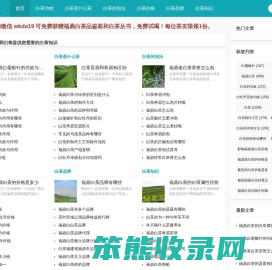 白茶网