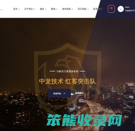 中龙技术