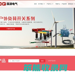 国源电气有限公司