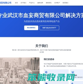 武汉市血妄商贸有限公司