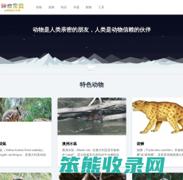 动物Top