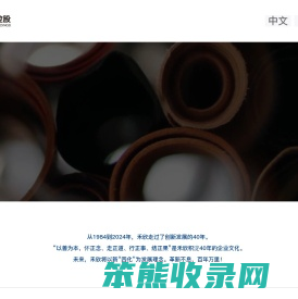 浙江禾欣控股有限公司