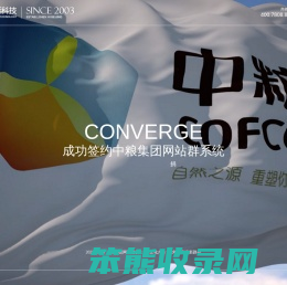 网络品牌策划公司,北京网站建设,高端网站建设,网站设计,专业网站设计