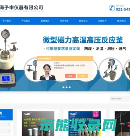 微型磁力搅拌反应釜