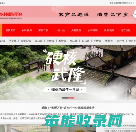 武隆乡村振兴平台