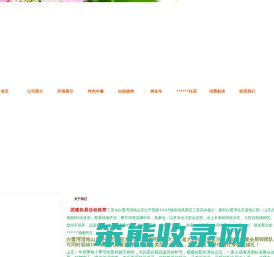 首页