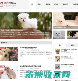 茶杯犬,茶杯猫,小香猪,迷你袖珍泰迪贵宾狗