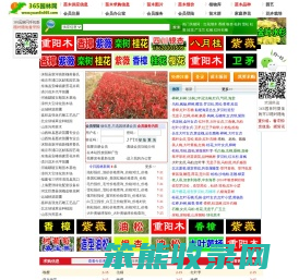 365园林网
