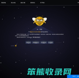 蜂巢SAAS