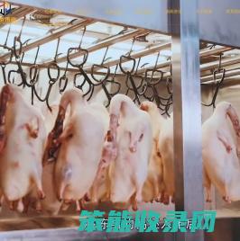 烤鸭炉