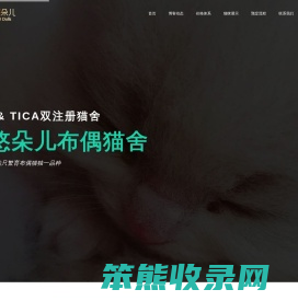 悠悠朵儿布偶猫舍