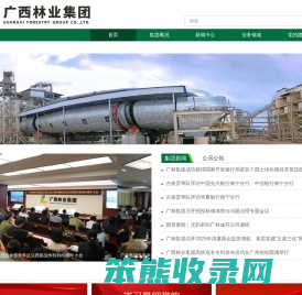 广西林业集团有限公司