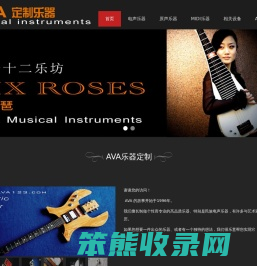 AVA定制乐器(厂家)