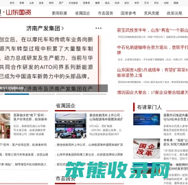 山东国资