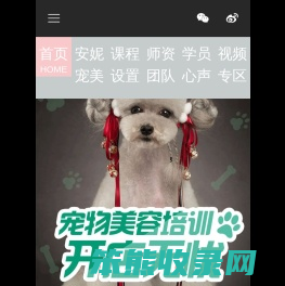 上海安妮宠美课堂
