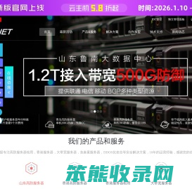 山东青岛枣庄高防服务器