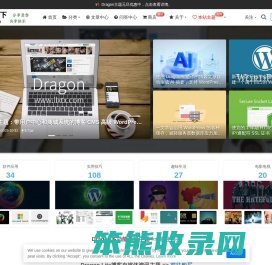 龙笑天下
