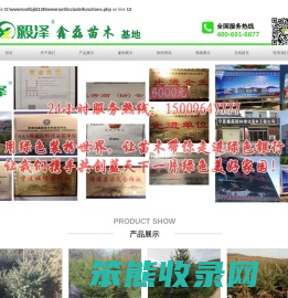 隆德县鑫磊苗木专业合作社