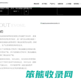 安徽进化硅纳米材料科技有限公司